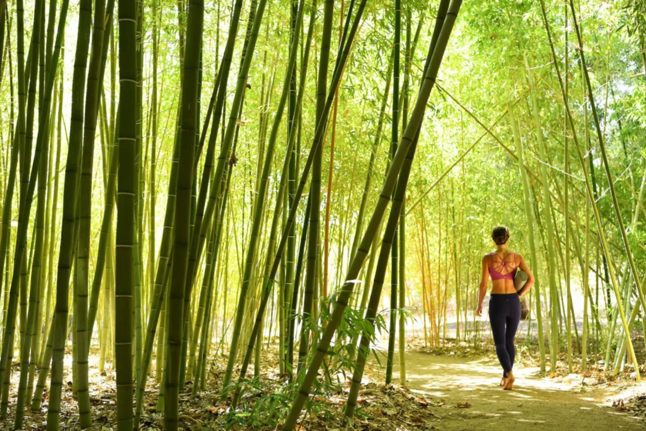 Golden Door guest walking through bamboo